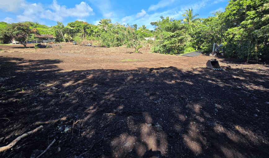 LAND CLEARING